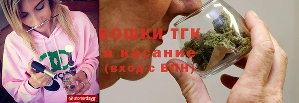 сатива Липки