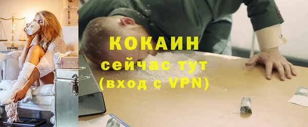 сатива Липки