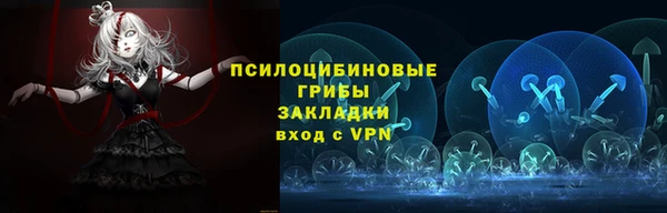 сатива Липки