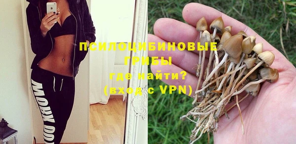 сатива Липки