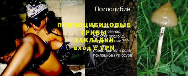 сатива Липки
