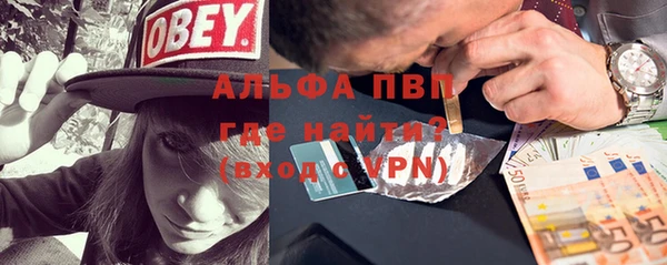 сатива Липки