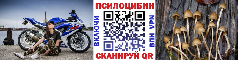закладки ОМГ ОМГ зеркало Псилоцибиновые грибы прущие грибы Яблоновский